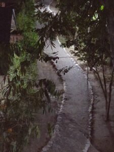 IMG_20191208_183848